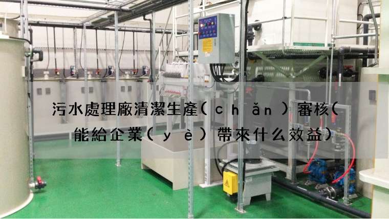 污水處理廠清潔生產(chǎn)審核(  能給企業(yè)帶來什么效益)